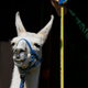Perry the Llama gets measured at London Zoo in 2014. (AP/Kirsty Wigglesworth)